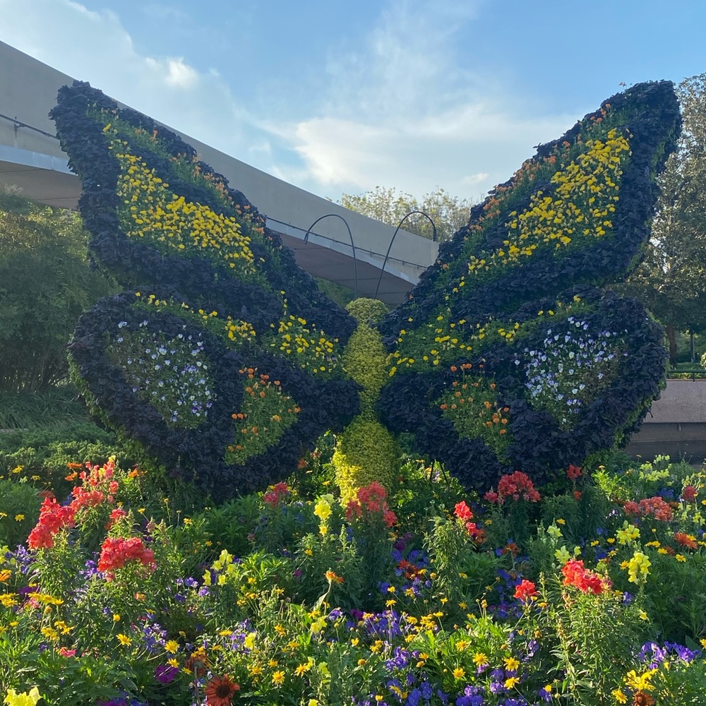 Meet your Posher, Yadira